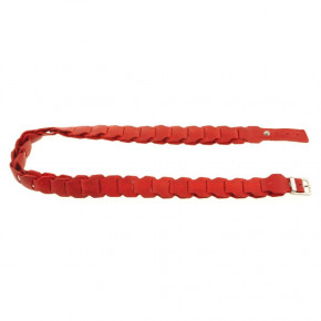   -  Blank Note BN-BELT-1-coral 7