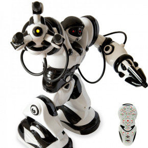  Roboactor (TT313) 4