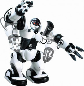  Roboactor (TT313) 5