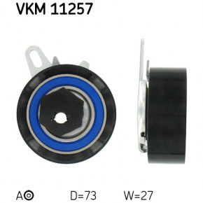   SKF   (VKM 11257)