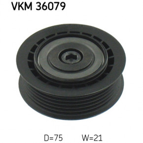   SKF   (VKM 36079)