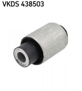  SKF (VKDS 438503)