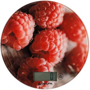   Delfa DKS-3116 Raspberry