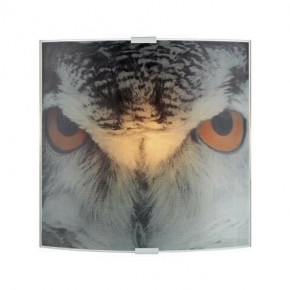   Markslojd 105242 Owl 6342