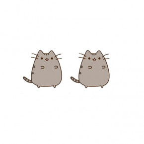  LifeFLUX ʳ  Pusheen Hzshinling 