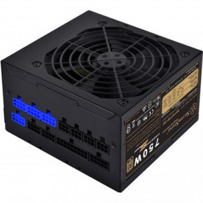   SilverStone ST75F-GS750W