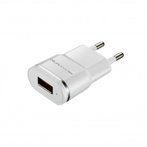    Canyon 1USB 1A White Silver (CNE-CHA01WS)