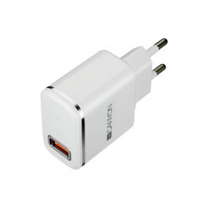    Canyon 1USB 2.1A White/Silver (CNE-CHA043WS) + cable Lightning