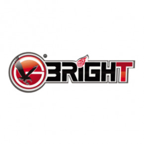   d36    BRIGHT 5508023 3