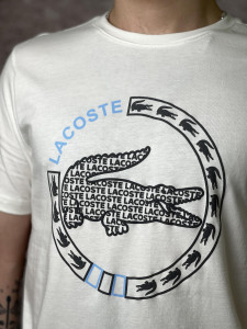  Lacoste  (  ) (192808250150) 9