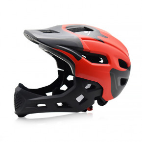   Helmet 016  (6290-21642) 3