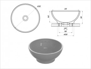  Snail ,  (104T307) 3