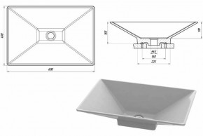  Snail ,  (118T109) 3