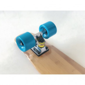   FISH Penny Board  4