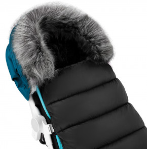   Bair Arctic  5