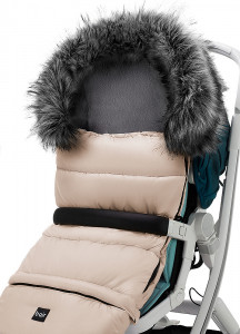   Bair Arctic    5