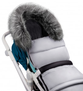   Bair Arctic    9