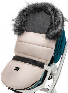   Bair Polar  4