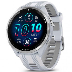 - Garmin Forerunner 965 Titanium Bezel with Whitestone Case and Whitestone/Powder Gray Silicone Band (010-02809-81)