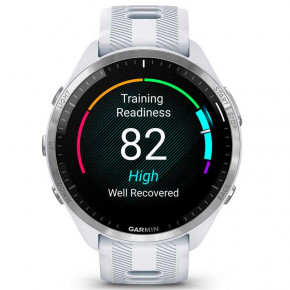 - Garmin Forerunner 965 Titanium Bezel with Whitestone Case and Whitestone/Powder Gray Silicone Band (010-02809-81) 5