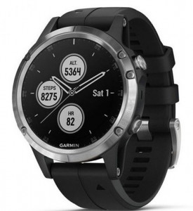 - Garmin Fenix 5 Plus Sapphire Silver (010-01988-11)