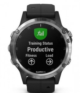 - Garmin Fenix 5 Plus Sapphire Silver (010-01988-11) 7