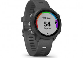 - Garmin Forerunner 245 Black/Slate (010-02120-10) 4