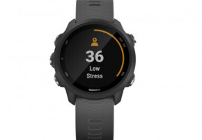 - Garmin Forerunner 245 Black/Slate (010-02120-10) 6