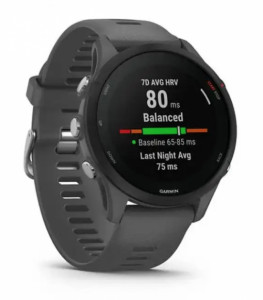 - Garmin Forerunner 255 Music Slate (010-02641-00) 4