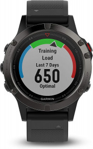 - Garmin Fenix 5 Slate Gray Sapphire With Black Band (010-01733-00, 010-01688-60) 5