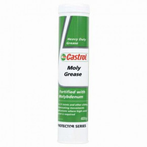   Castrol Moly Grease 300  (Cas 45-300)