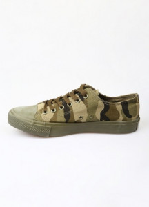  All Star 43  (LN-1714-10-Khaki) 85320.01 4