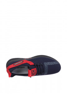  Violeta 41 (GO-45-45--BLUE-RED) 70236.02 4