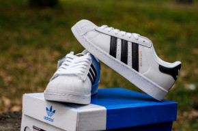  Adidas Superstar White Gold (  -)    : 36-45 5