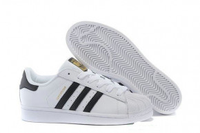  Adidas Superstar White Gold (  -)    : 36-45 8