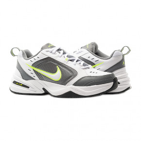  Nike AIR MONARCH IV 45 (415445-100)