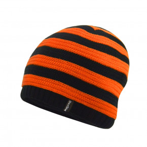   Dexshell Children Beanie DH552PP  3