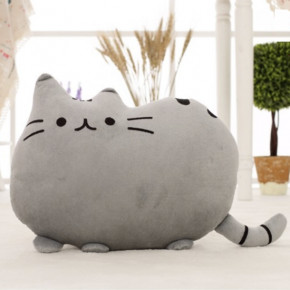 '     Pusheen LITZY 