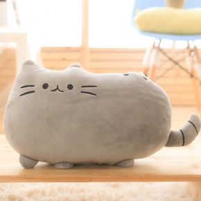 '     Pusheen LITZY  10