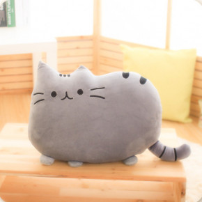 '     Pusheen LITZY  11