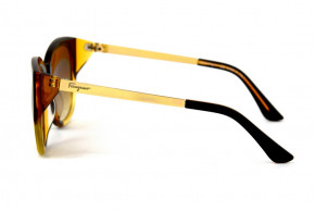   Glasses sf839sr-br  4