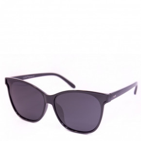    Polarized P9933-2