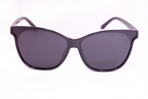    Polarized P9933-2 3