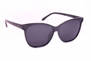    Polarized P9933-2 4