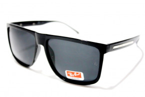   Ray Ban 2014 C2a