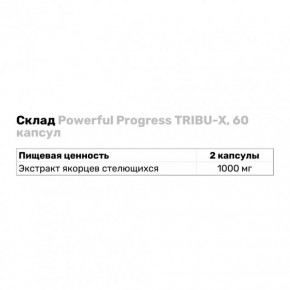   Powerful Progress Tribu - X 60  100-33-3077529-20 4