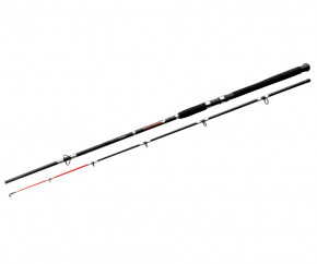   Flagman Big Fish 2.4 150-250 5