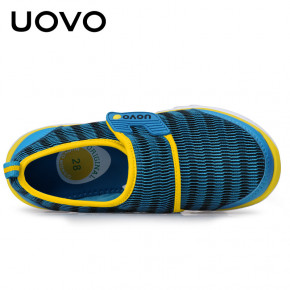    Uovo (29) () (50798) 7