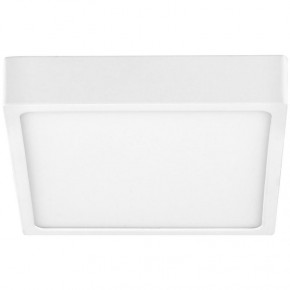   Brille LED 491/12W NW  4