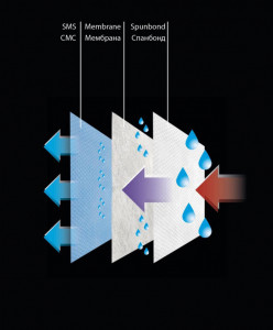    3-  (MSK-19) 4